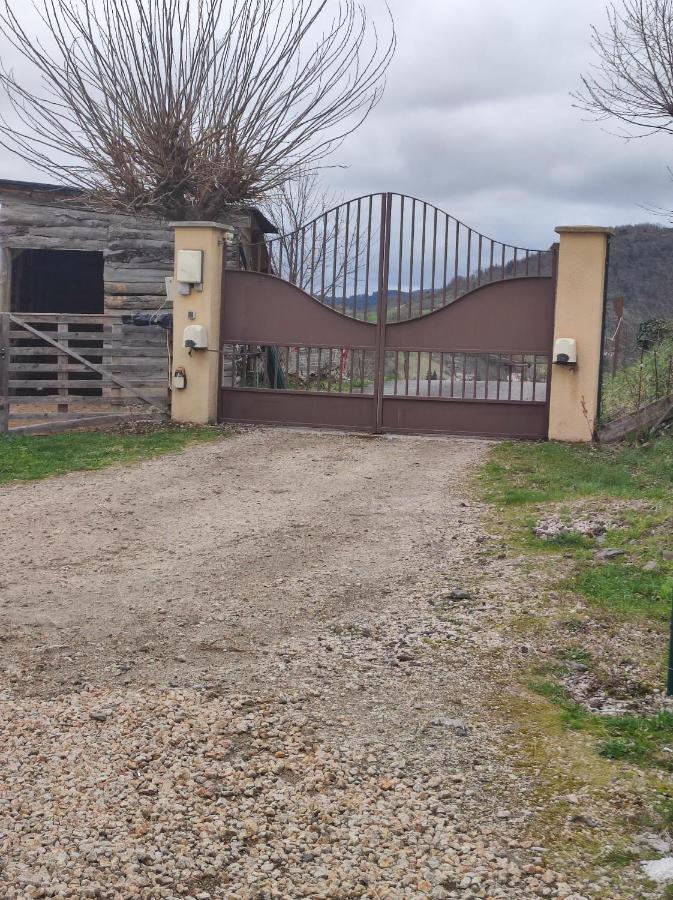 Appartamento F2 Exterieur Lit King Size Brives-Charensac